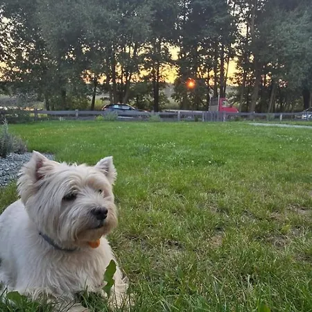 Letniskowe Minispa Orkusz, Prabuty *